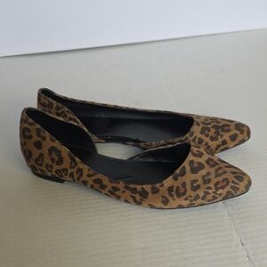 Leopard Print American Eagle  Outfitters Women's Ballet Flats